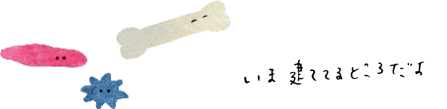 いま建ててるところだよ